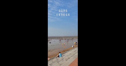 海邊尋寶，劉家灣趕海園—泰安金輝國(guó)旅